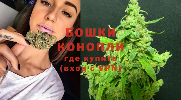 apvp Арсеньев