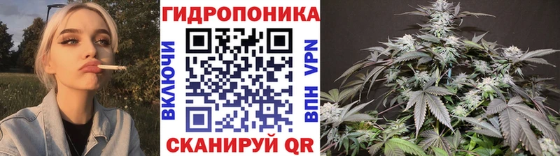 где найти   Армянск  Бошки Шишки тримм 